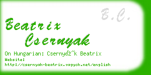 beatrix csernyak business card